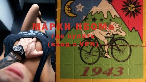 хмурый Касимов