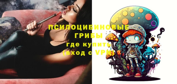 амф Карпинск