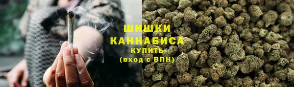 амф Карпинск
