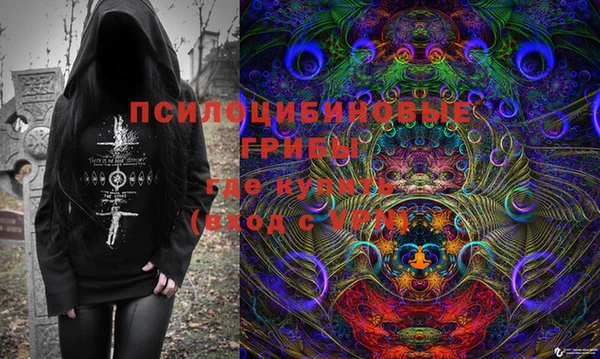 хмурый Касимов
