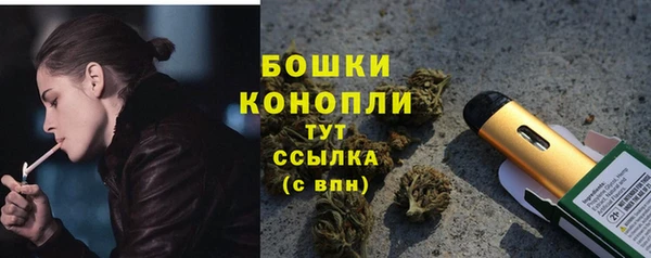 амф Карпинск