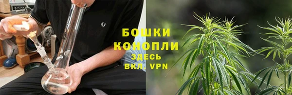 амф Карпинск